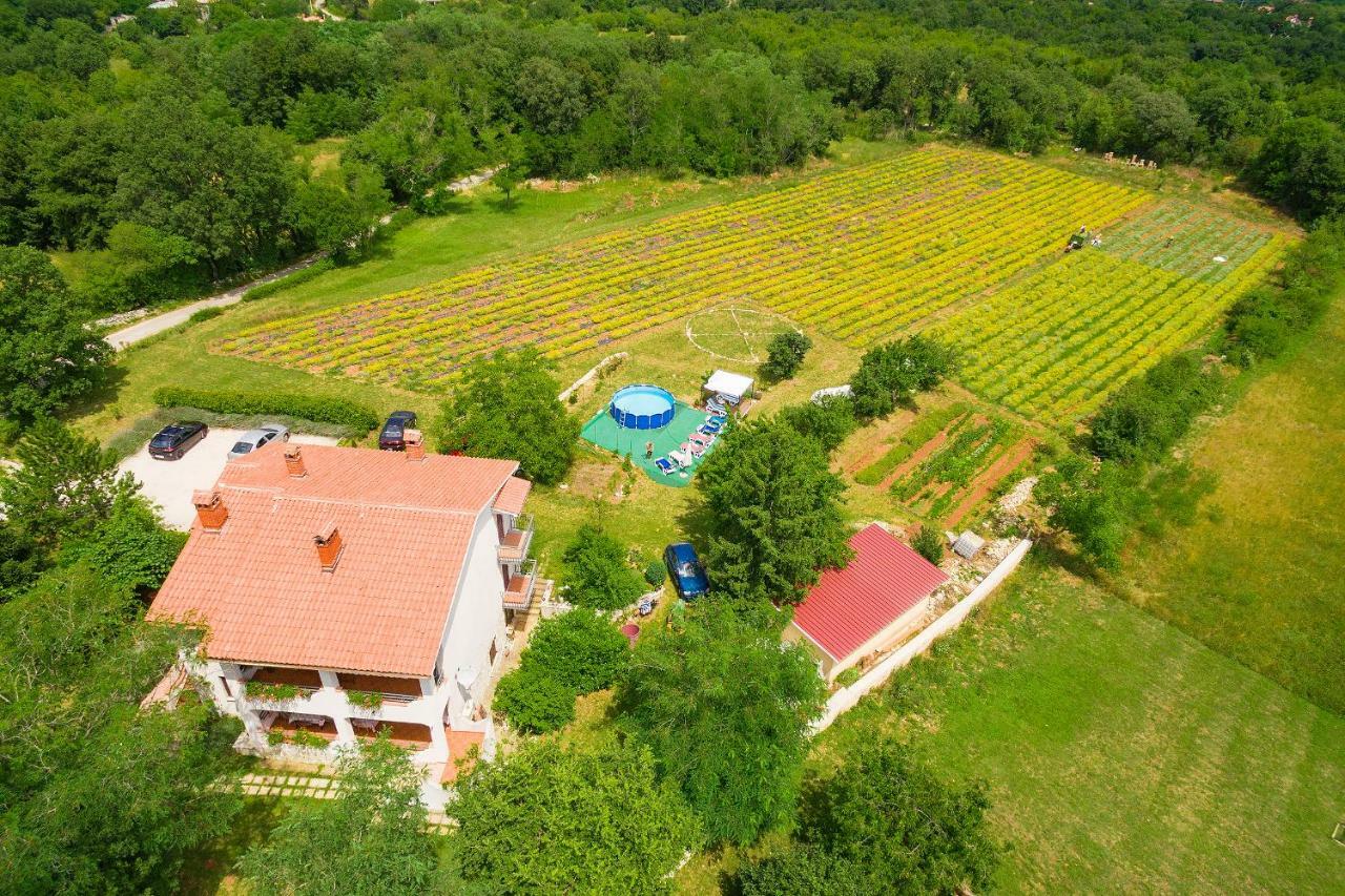 Apartments Valoda Nedescina Exterior foto